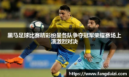 黑马足球比赛精彩纷呈各队争夺冠军荣耀赛场上演激烈对决