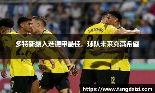 多特新援入选德甲最佳，球队未来充满希望