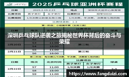 深圳乒乓球队逆袭之旅揭秘世界杯背后的奋斗与荣耀